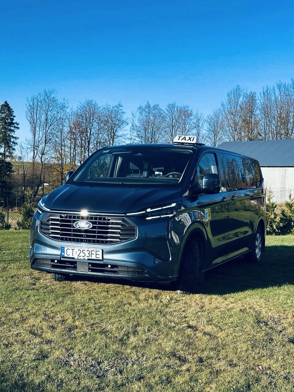 Синий микроавтобус Ford с табличкой TAXI на фоне деревьев